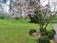149 PARC ORIENTAL DE MAULEVIER MAINE ET LOIRE 2016 N0_000018